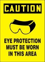 Plastic, Eye Protection Must Be Worn in this Area 